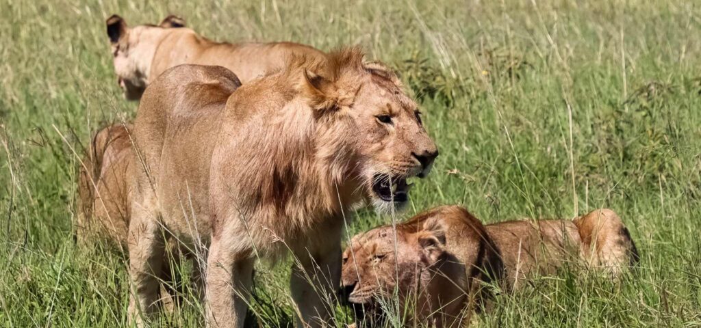 10-Day Tanzania Safari and Zanzibar Holiday