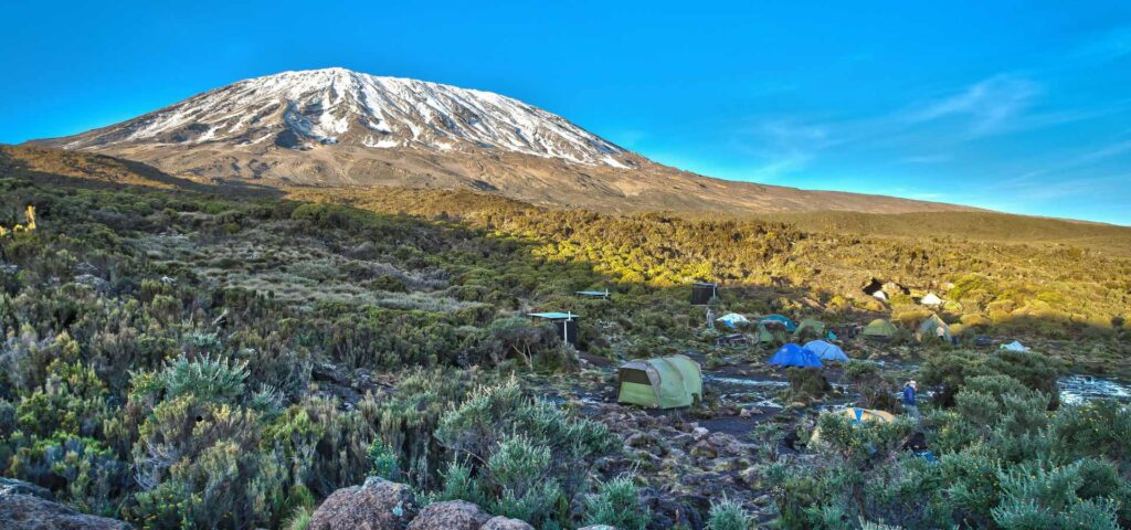 7-Day Umbwe Route Kilimanjaro Climb