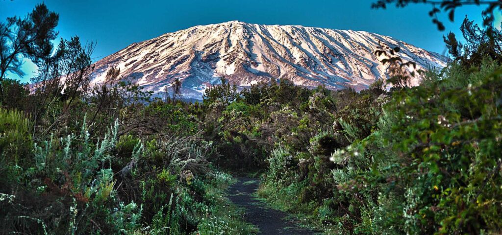 9-Day Northern Circuit Kilimanjaro Climb
