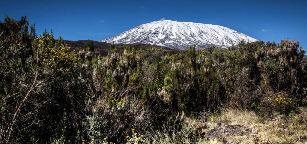 7-Day Rongai Route Kilimanjaro Climb