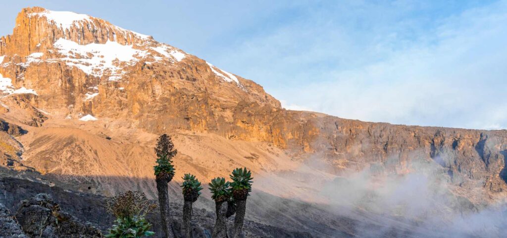 8-Day Lemosho Route Kilimanjaro Climb
