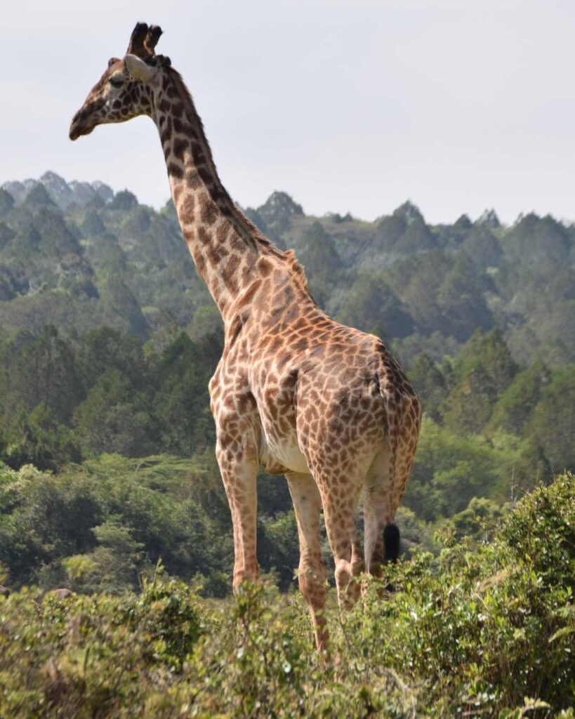 Tanzania Day Trips